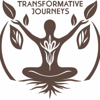 T.journeys logo with text brown